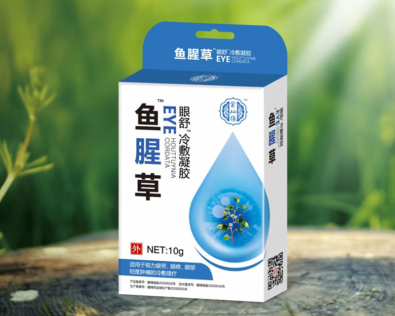 鱼腥草